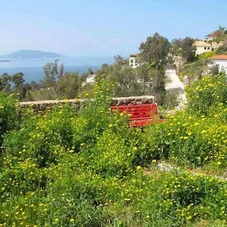 Villa Bellevue *